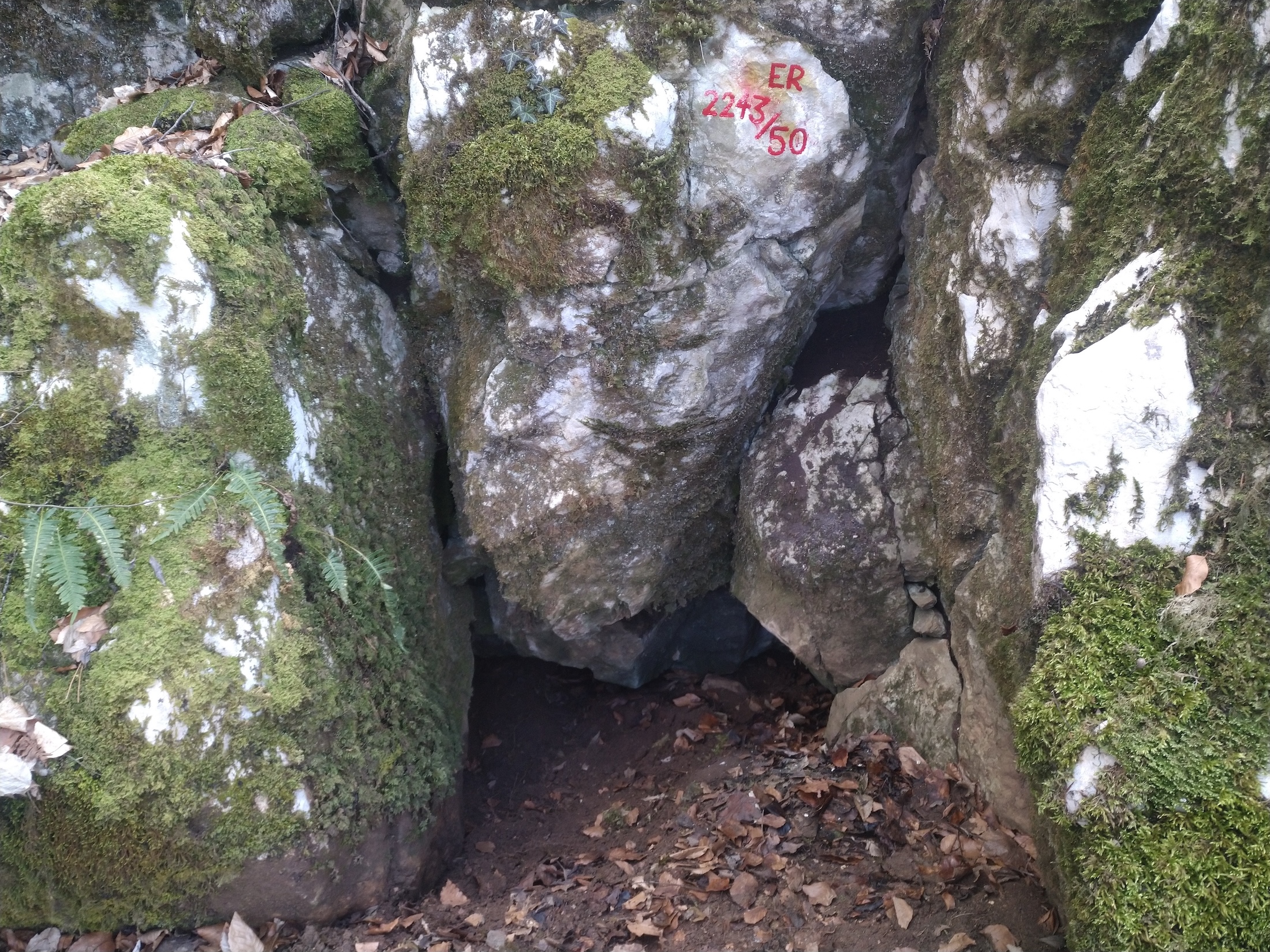 Peștera din Cleanț  - Image 1